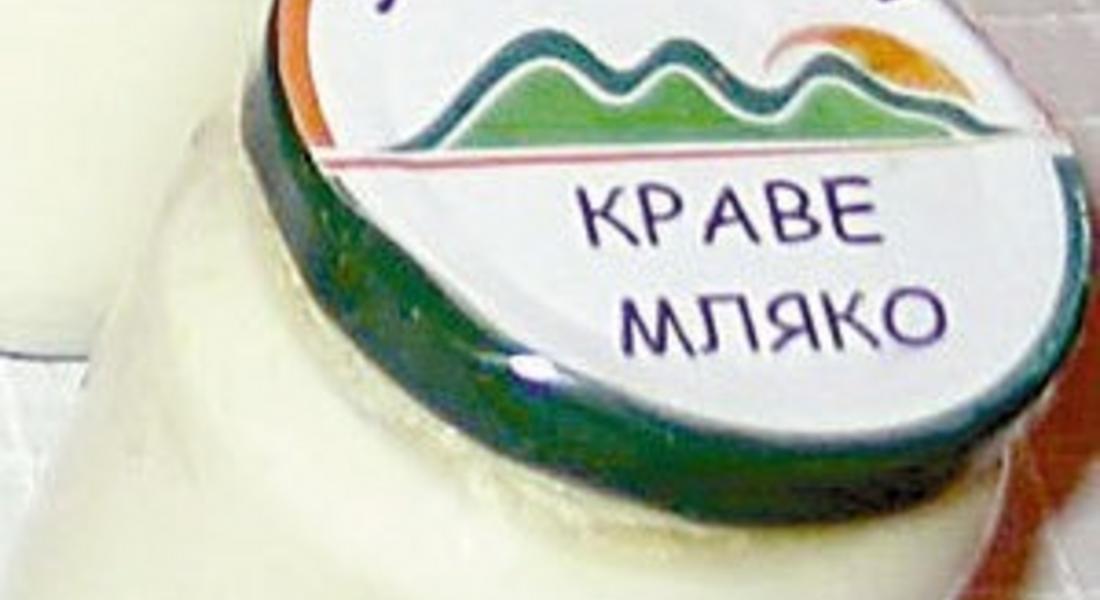 От днес започва прием за продажба на млечни квоти