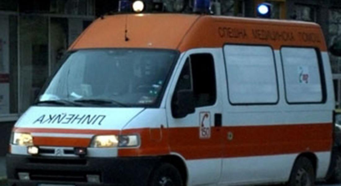  Хъски нахапа 80-годишна жена, бабата се опитала да спаси кокошка