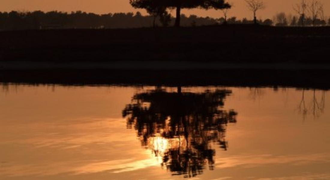 Снимка на деня: Lonely tree :) 