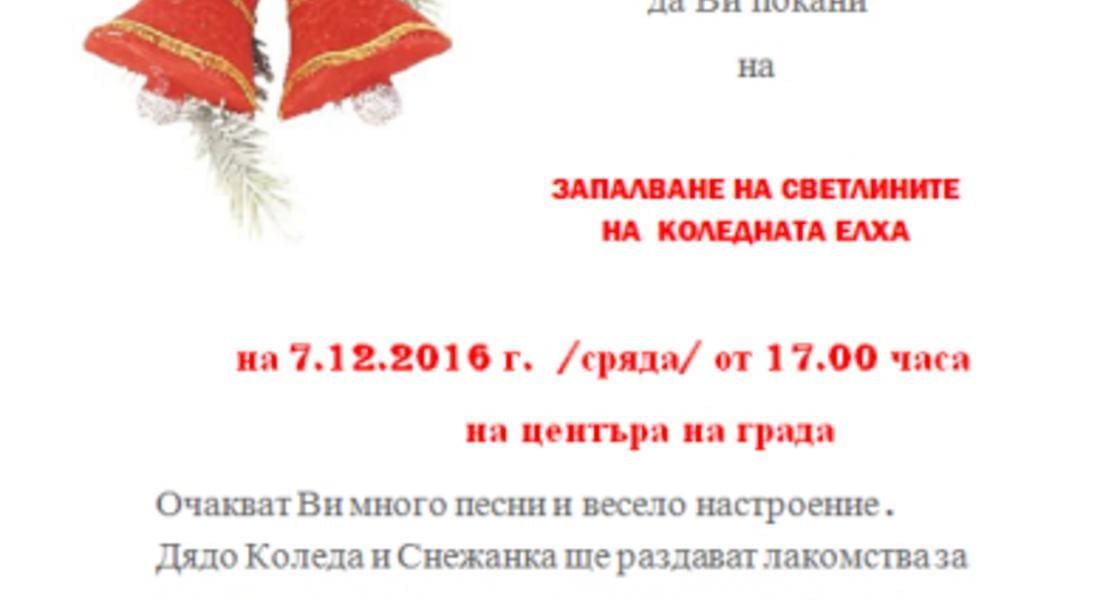 Коледната елха грейва в Неделино на 7-ми декември