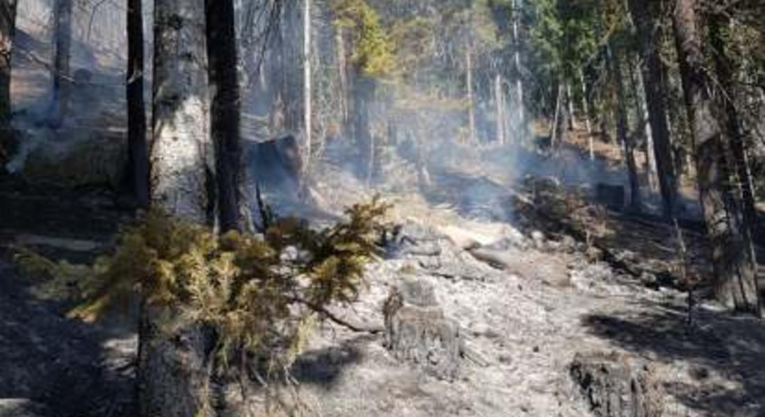 Доброволци, огнеборци и горски служители продължават гасенето на пожара край Кремене /СНИМКИ/