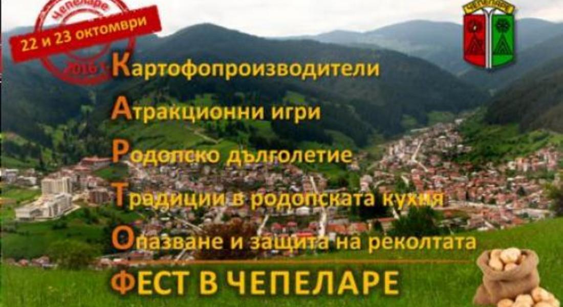  Заповядайте на „Картоф Фест в Чепеларе“ 