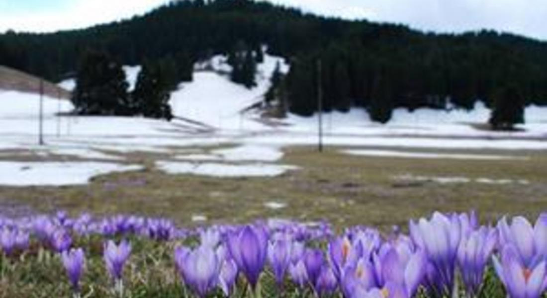 Обявиха фотоконкурс "Чепеларе в четири сезона”.