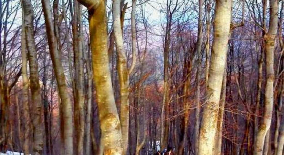                                                                              Младежи от село Гърнати си устроиха поход до връх Алада