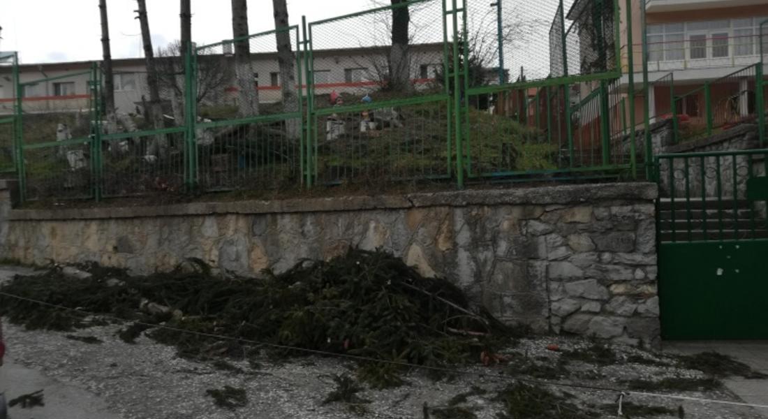 Силният вятър в Смолянско затвори ски зоната в Пампорово, повали дървета и остави без ток населени места