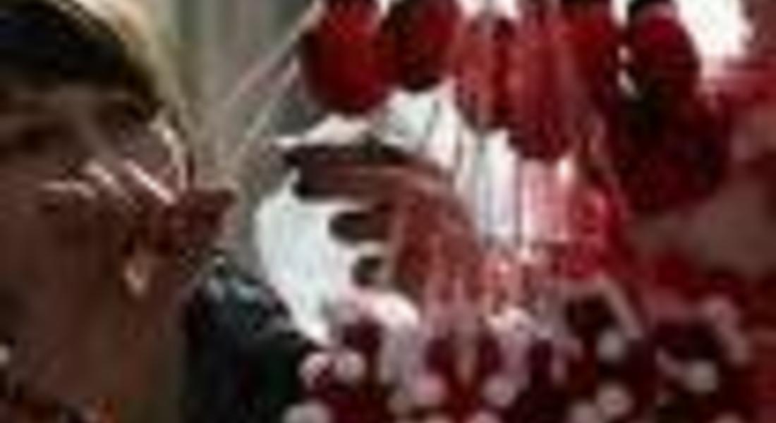 Инициатива "Децата на Смолян помагат на децата на Хаити"