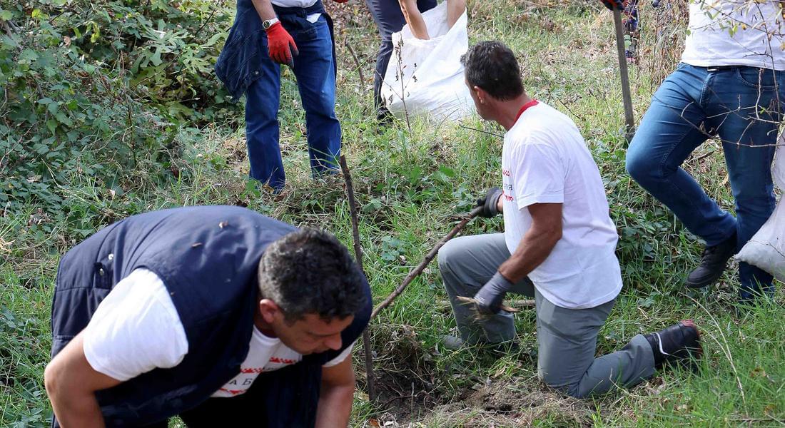 EVN и WWF България с обща инициатива за възстановяване и опазване на горите