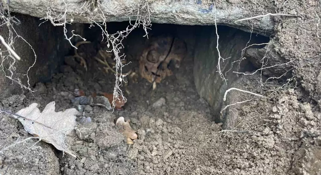 Откриха древна гробница при изкоп за водоем край Неделино