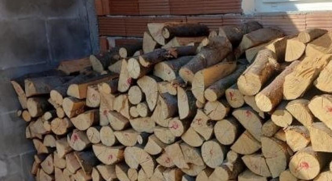 450 хиляди кубика дърва за огрев е предоставило ЮЦДП за местното население през 2022г.
