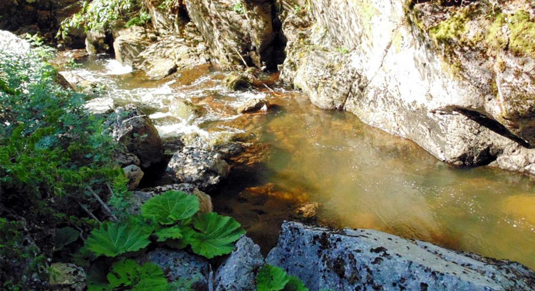 Готови са анализите на водните проби, взети по време аварийното заустване на отпадъчни води в река Девинска