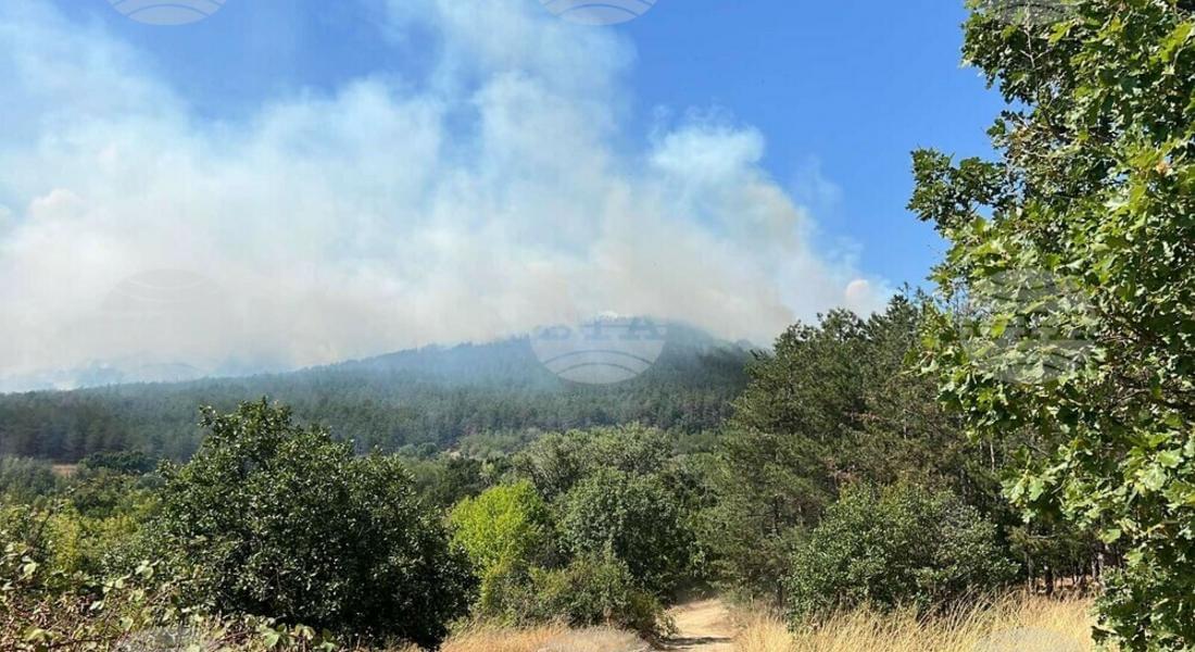  Горски експерти извършват обследване на опожарената гора край Хвойна