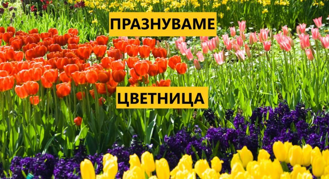 ЦВЕТНИЦА Е...