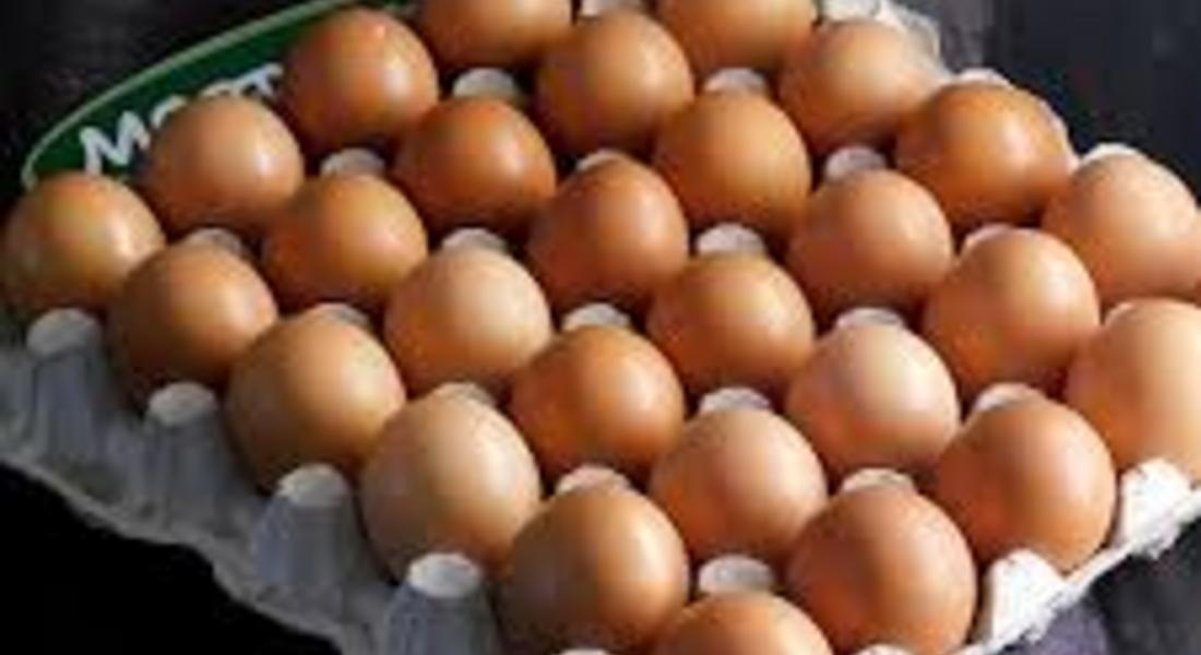 Не се очаква голям скок в цените на яйцата и агнешкото за Великден