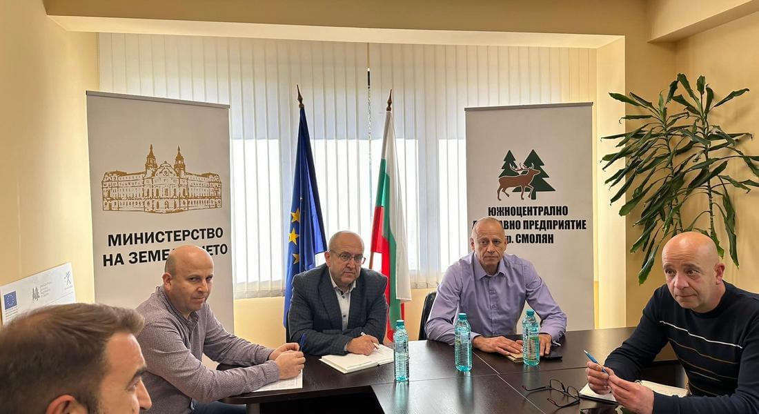 ЮЦДП и представители на горския сектор търсят балансирани решения за пазара на дървесина