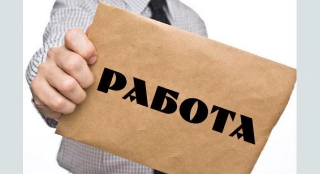 Голям интерес към трудова борса в Смолян – десетки възможности за работа