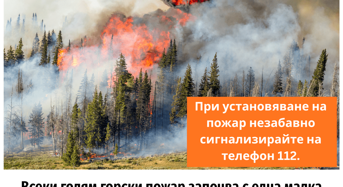 РИОСВ – Смолян с поредица инициативи в подкрепа на кампанията на Министерството на околната среда и водите „Пази зеленото утре“  