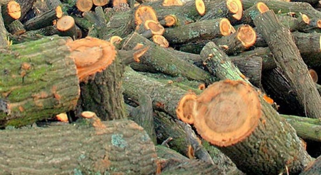 5 781 лица от област Смолян ще получат целева помощ за отопление