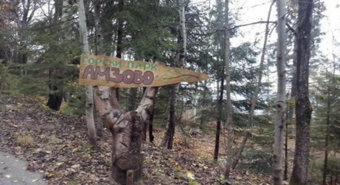  Деца участват в Празник в гората в местност край Смолян