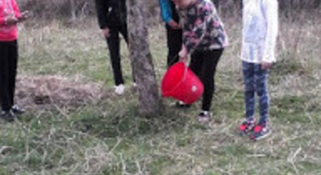  Читалището в Барутин също се включи с инициативи за "Седмица на гората"