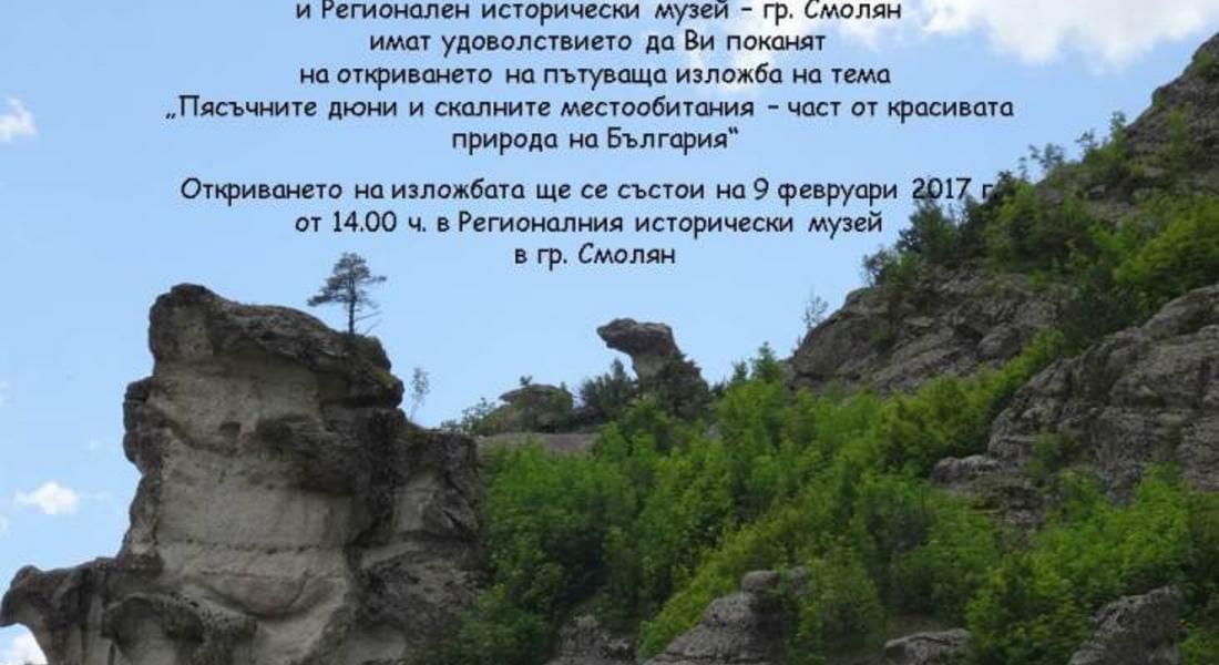 Изложба "Пясъчните дюни и скални местообитания" гостува в музея в Смолян