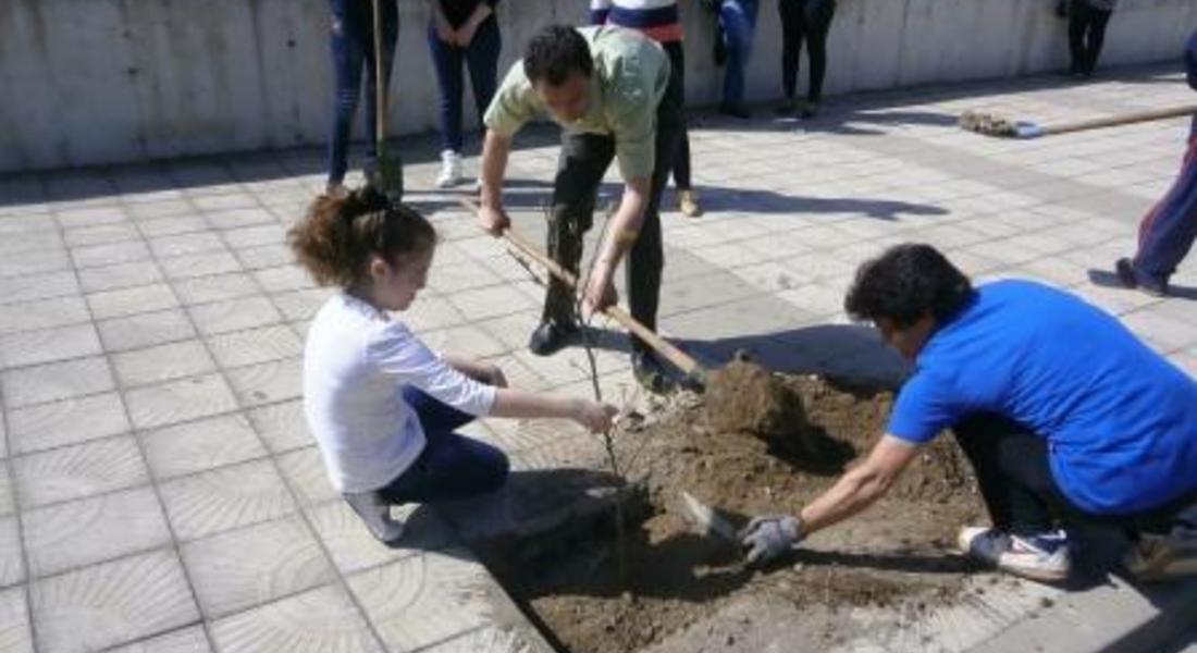 Отбелязаха Седмицата на гората в Златоград 