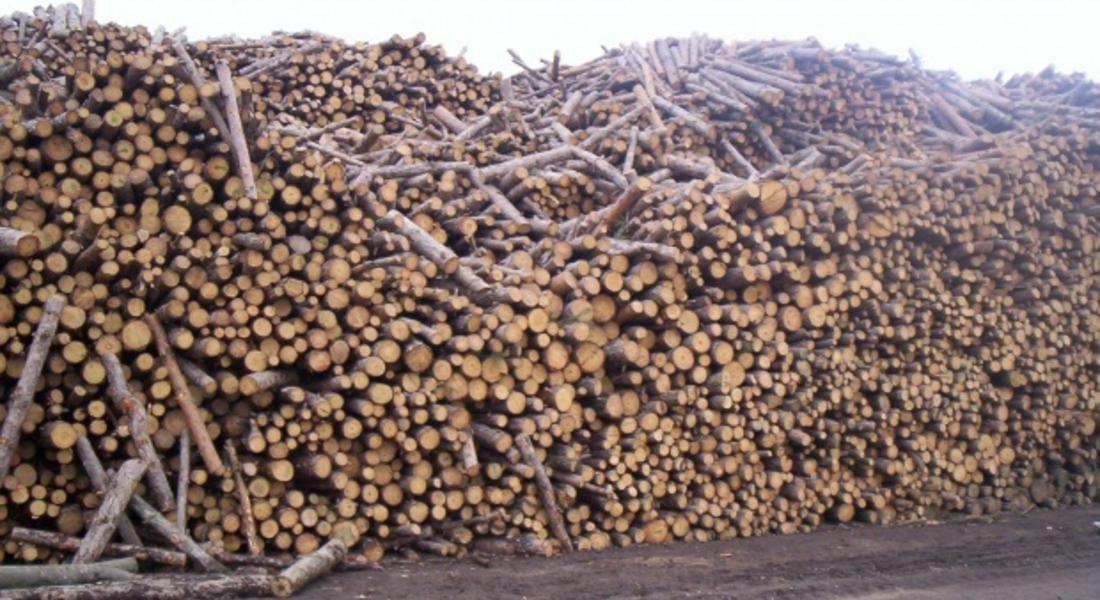 Пишман крадци опитаха да оберат  дървата под носа на полицай