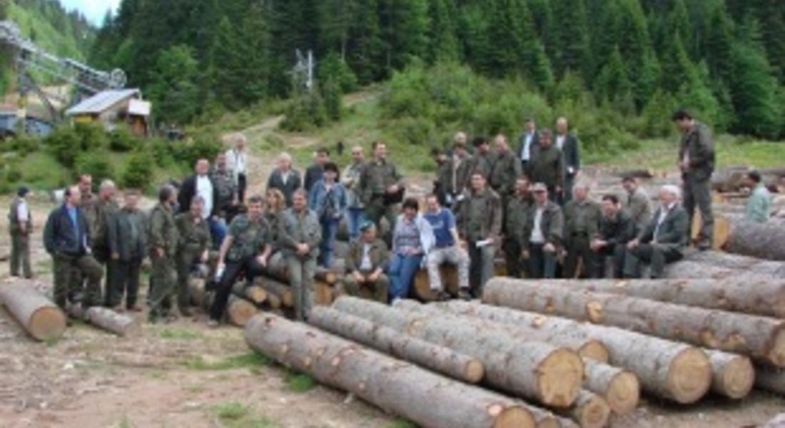 Добивът на дървесина в частните гори може да се извършва от самите собственици