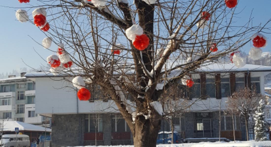 Красиво първомартенско дърво цъфна в центъра на Неделино