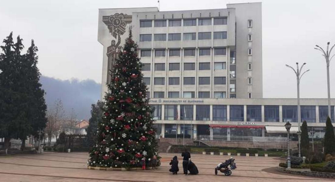  На Никулден грейна елхата и в Златоград