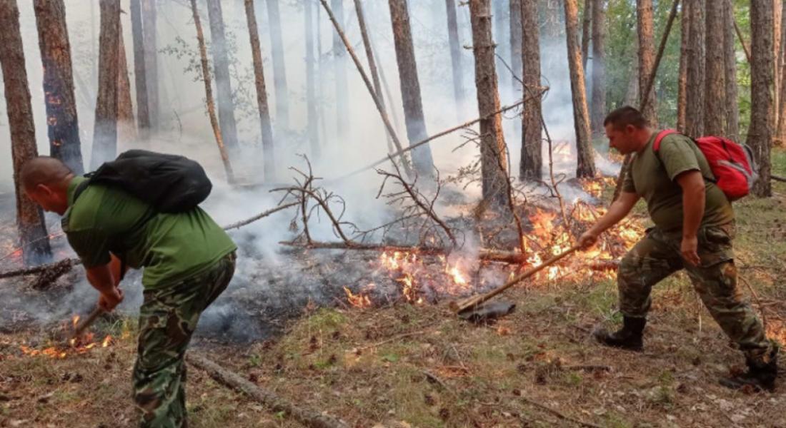  Дъждът не е загасил пожара над Югово