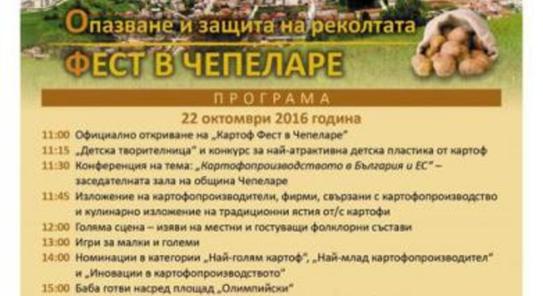 Програма за „Картоф Фест” в Чепеларе 