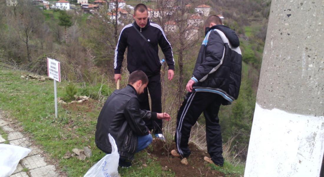  Младежи на ДПС залесиха фиданки по случай „Седмицата на гората“