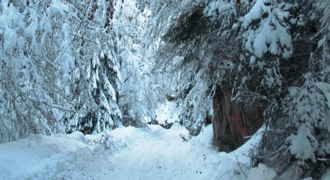 Четири лавини затвориха пътя Смолян- Мугла