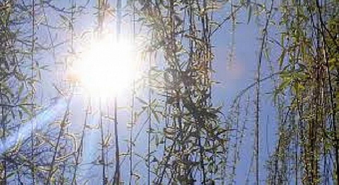 Очаква ни слънчев ден