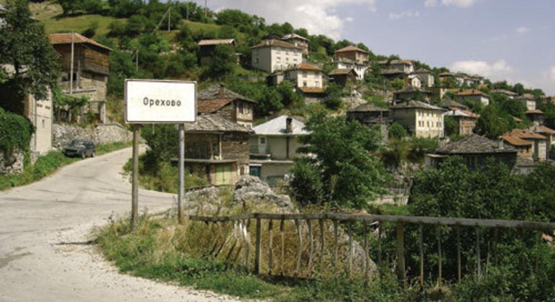 Празнуват Ден на ореха в с.Орехово