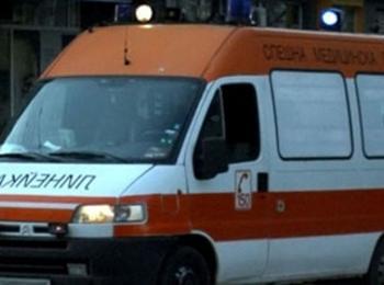  Хъски нахапа 80-годишна жена, бабата се опитала да спаси кокошка