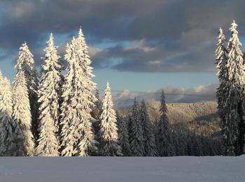 Опасно ниски температури в почти цяла България