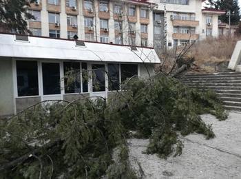 70% от населените места в община Смолян са без ток 