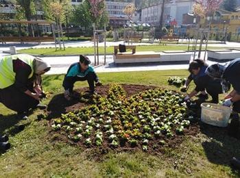 ЗАПОЧНА ЛЯТНОТО ЗАЦВЕТЯВАНЕ В МАДАН 