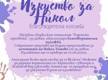  Благотворителна изложба „Изкуство за Никол“ ще се състои в Девин