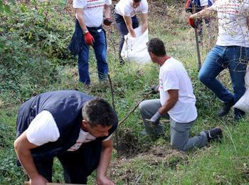 EVN и WWF България с обща инициатива за възстановяване и опазване на горите