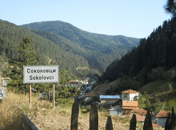 Приют за пернати домашни любимци е настанен в къща в родопското село Соколовци