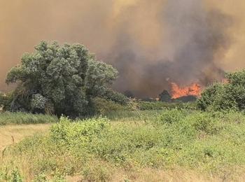 Огнеборци потушиха горски пожар край село Барутин и друг в сухи треви край Девин 