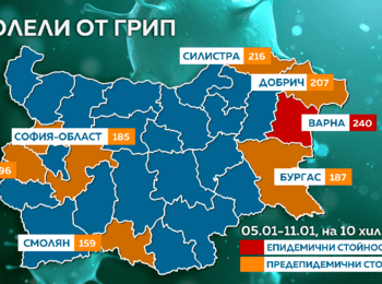 Смолян в предепидемична обстановка, пикът на грипа в страната се очаква до края на месеца