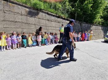 Полицейското куче Нерон и служители от ОДМВР- Смолян радваха децата от ДГ „Синчец“ по повод 1 Юни