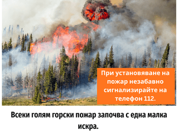 РИОСВ – Смолян с поредица инициативи в подкрепа на кампанията на Министерството на околната среда и водите „Пази зеленото утре“  