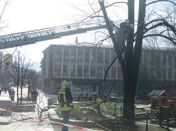 Спасителен екип на пожарната отстрани опасни клони на дърво в детска площадка