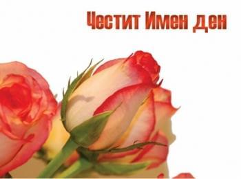 Имен ден празнува Тихомир