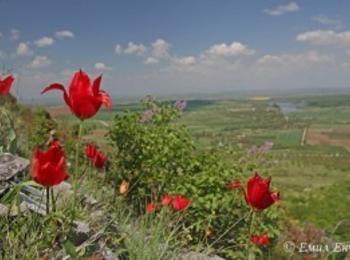 Фотоконкурсът "Родопите- уловени мигове" продължава до 15 октомври