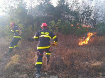 Психично болен подпали гора край Смолян